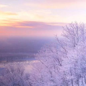 国内原创,我为人人 论坛登陆
